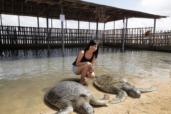 Turtle Island Turtle Island